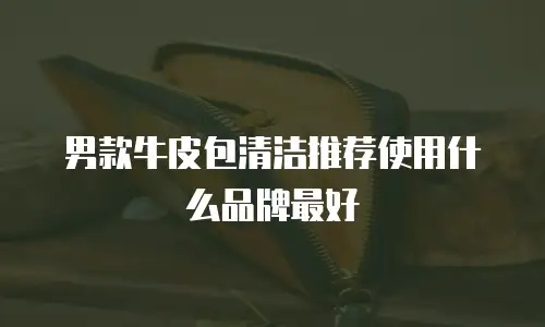男款牛皮包清洁推荐使用什么品牌最好