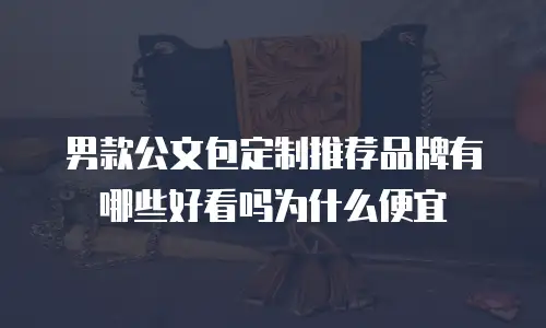 男款公文包定制推荐品牌有哪些好看吗为什么便宜