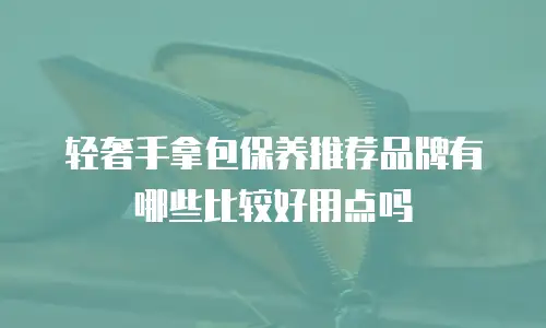 轻奢手拿包保养推荐品牌有哪些比较好用点吗