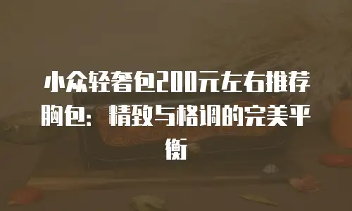 小众轻奢包200元左右推荐胸包：精致与格调的完美平衡