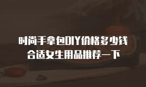 时尚手拿包DIY价格多少钱合适女生用品推荐一下