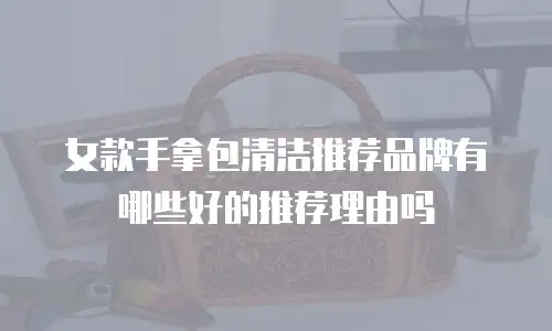 女款手拿包清洁推荐品牌有哪些好的推荐理由吗