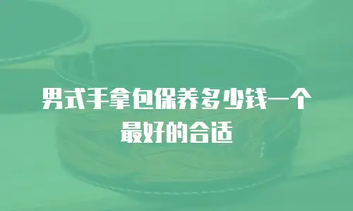 男式手拿包保养多少钱一个最好的合适