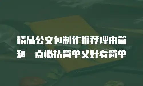 精品公文包制作推荐理由简短一点概括简单又好看简单