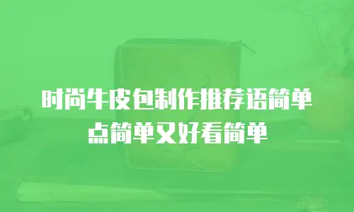 时尚牛皮包制作推荐语简单点简单又好看简单