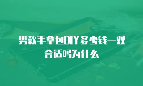 男款手拿包DIY多少钱一双合适吗为什么