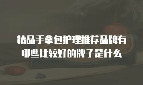精品手拿包护理推荐品牌有哪些比较好的牌子是什么