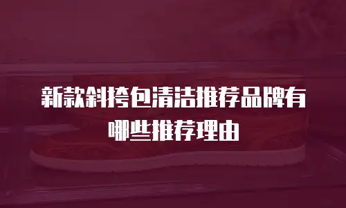 新款斜挎包清洁推荐品牌有哪些推荐理由