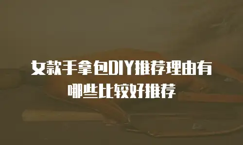女款手拿包DIY推荐理由有哪些比较好推荐