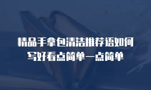 精品手拿包清洁推荐语如何写好看点简单一点简单