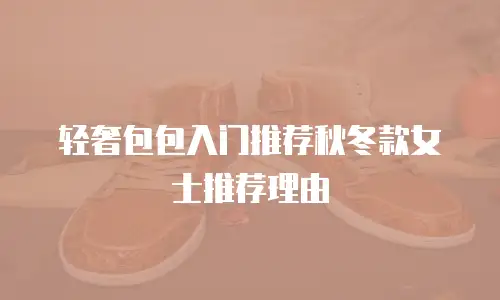 轻奢包包入门推荐秋冬款女士推荐理由