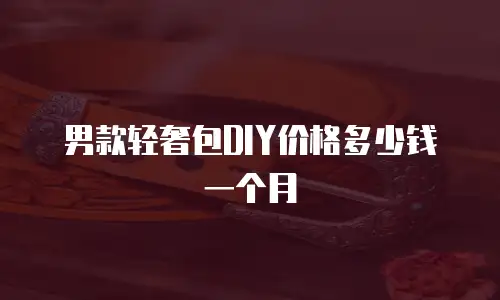 男款轻奢包DIY价格多少钱一个月