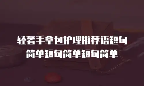 轻奢手拿包护理推荐语短句简单短句简单短句简单