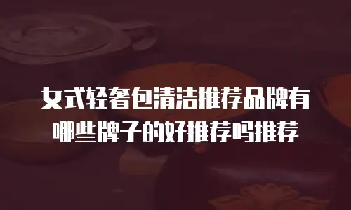 女式轻奢包清洁推荐品牌有哪些牌子的好推荐吗推荐
