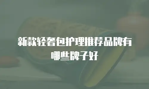 新款轻奢包护理推荐品牌有哪些牌子好