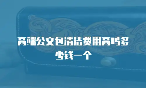 高端公文包清洁费用高吗多少钱一个