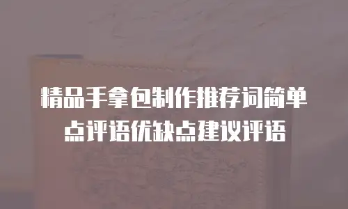 精品手拿包制作推荐词简单点评语优缺点建议评语