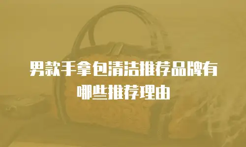 男款手拿包清洁推荐品牌有哪些推荐理由