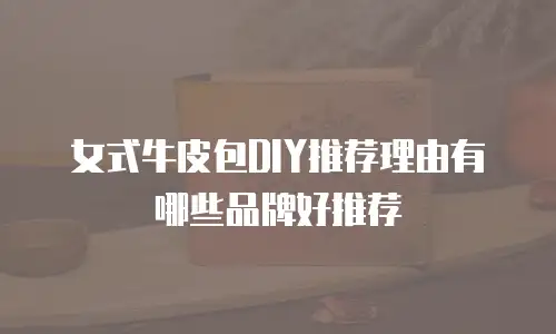 女式牛皮包DIY推荐理由有哪些品牌好推荐