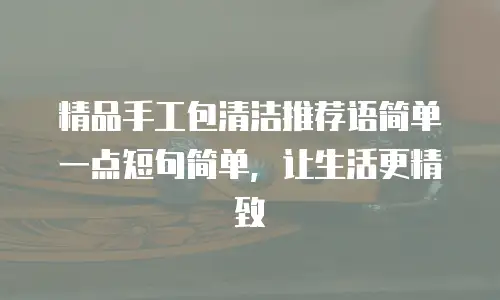 精品手工包清洁推荐语简单一点短句简单，让生活更精致