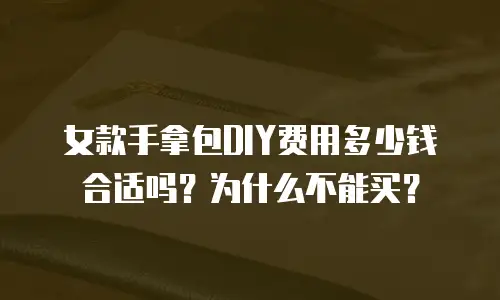 女款手拿包DIY费用多少钱合适吗？为什么不能买？