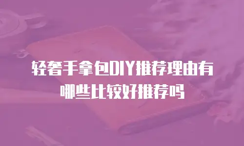 轻奢手拿包DIY推荐理由有哪些比较好推荐吗