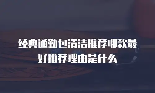 经典通勤包清洁推荐哪款最好推荐理由是什么
