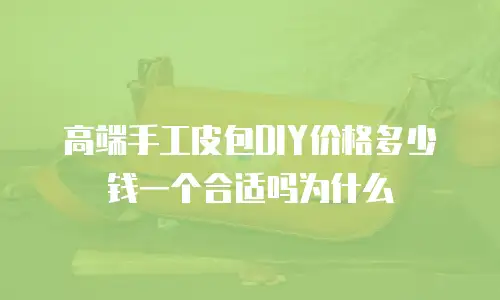 高端手工皮包DIY价格多少钱一个合适吗为什么