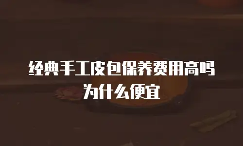 经典手工皮包保养费用高吗为什么便宜