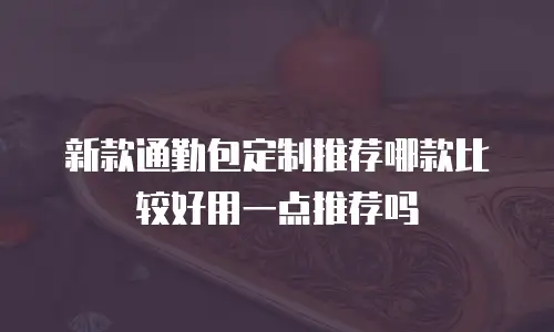 新款通勤包定制推荐哪款比较好用一点推荐吗