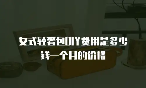 女式轻奢包DIY费用是多少钱一个月的价格