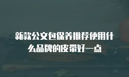 新款公文包保养推荐使用什么品牌的皮带好一点