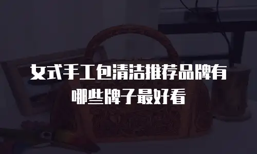 女式手工包清洁推荐品牌有哪些牌子最好看