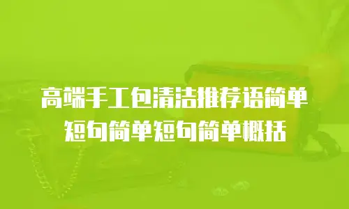 高端手工包清洁推荐语简单短句简单短句简单概括