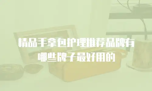 精品手拿包护理推荐品牌有哪些牌子最好用的