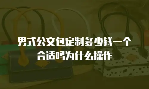 男式公文包定制多少钱一个合适吗为什么操作