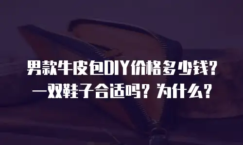 男款牛皮包DIY价格多少钱？一双鞋子合适吗？为什么？