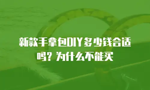 新款手拿包DIY多少钱合适吗？为什么不能买