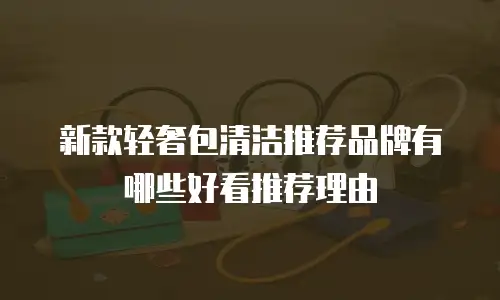 新款轻奢包清洁推荐品牌有哪些好看推荐理由