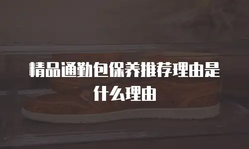 精品通勤包保养推荐理由是什么理由