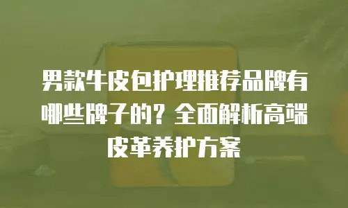 男款牛皮包护理推荐品牌有哪些牌子的？全面解析高端皮革养护方案