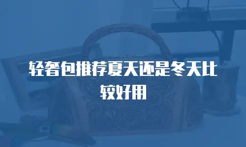 轻奢包推荐夏天还是冬天比较好用