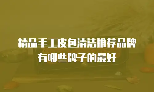 精品手工皮包清洁推荐品牌有哪些牌子的最好