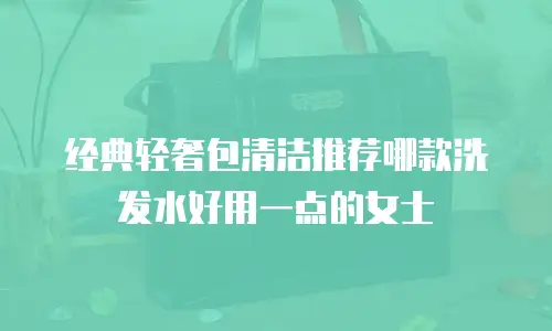 经典轻奢包清洁推荐哪款洗发水好用一点的女士