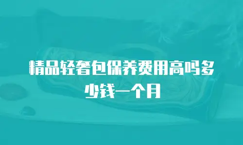 精品轻奢包保养费用高吗多少钱一个月