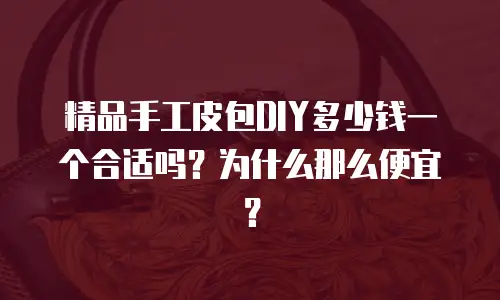 精品手工皮包DIY多少钱一个合适吗？为什么那么便宜？