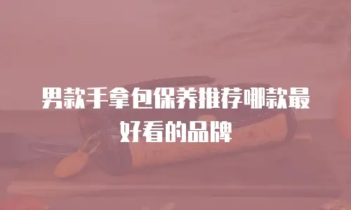 男款手拿包保养推荐哪款最好看的品牌