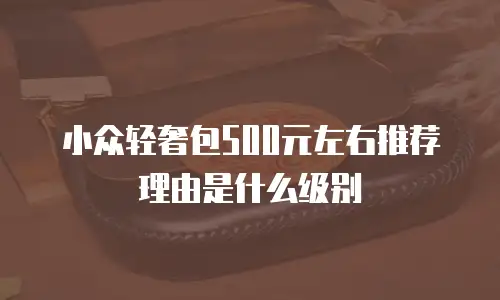 小众轻奢包500元左右推荐理由是什么级别