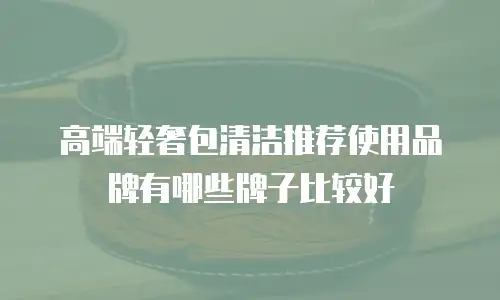 高端轻奢包清洁推荐使用品牌有哪些牌子比较好