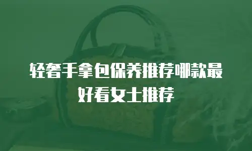 轻奢手拿包保养推荐哪款最好看女士推荐